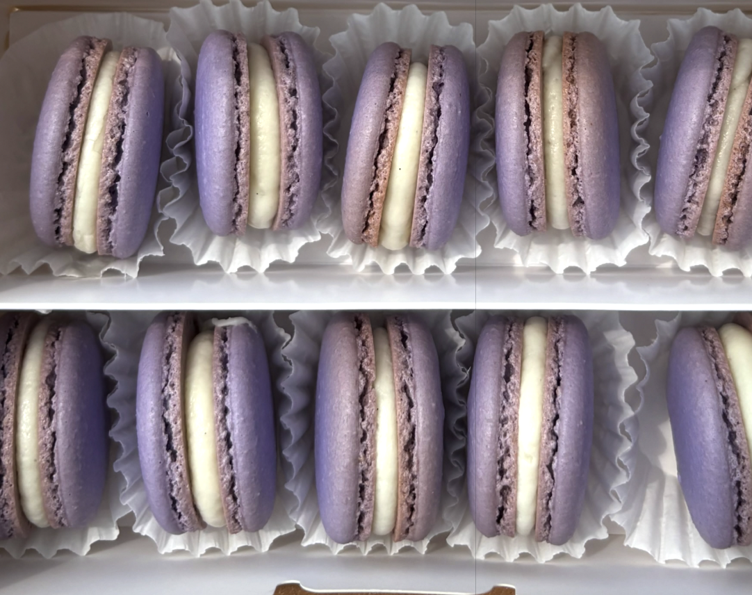 CASSA Pastry Lab macarons